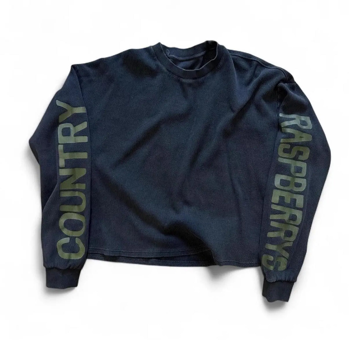 GV Gallery Raspberry Hills Country Raspberrys
Thermal