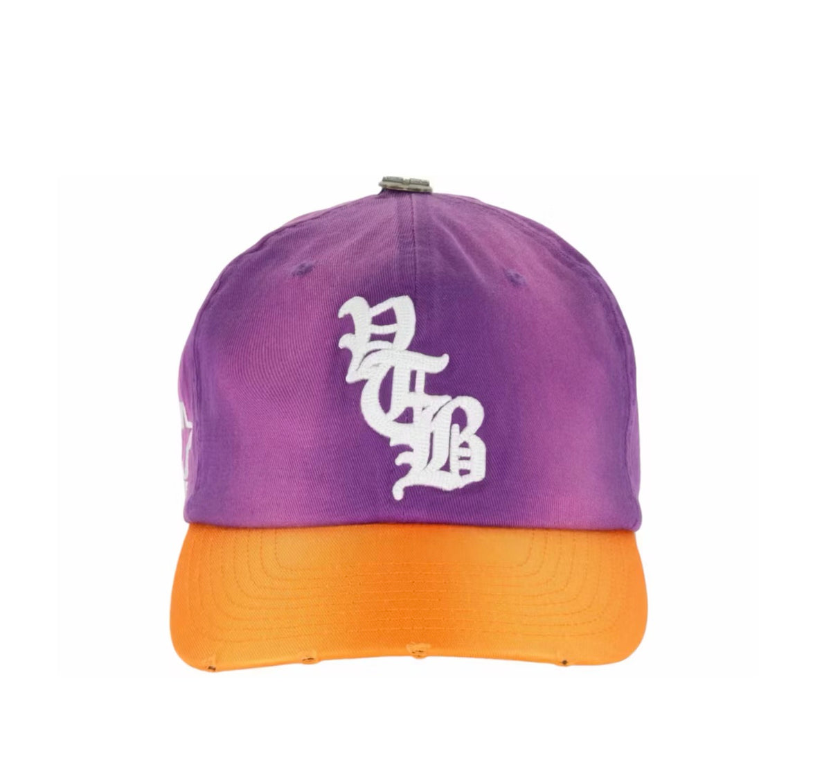 Vertebrae Logo SnapBack