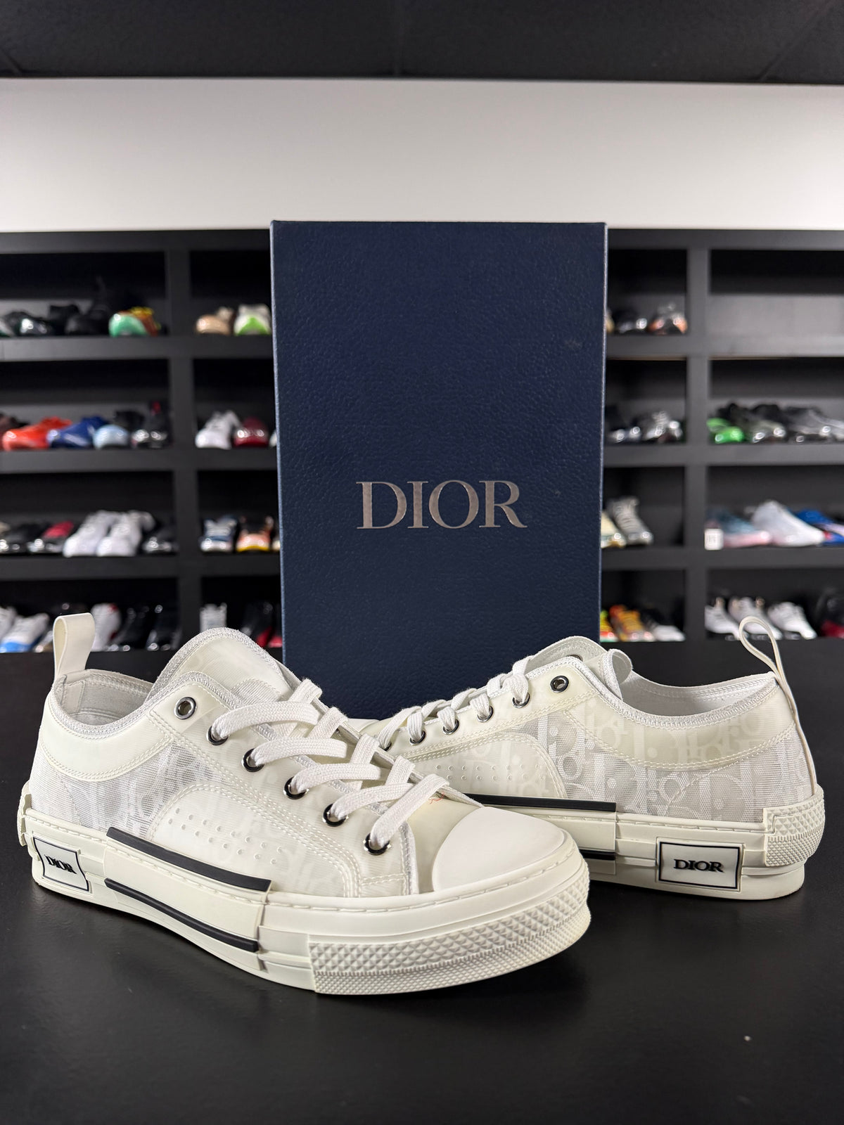 Dior B23 ‘Oblique’