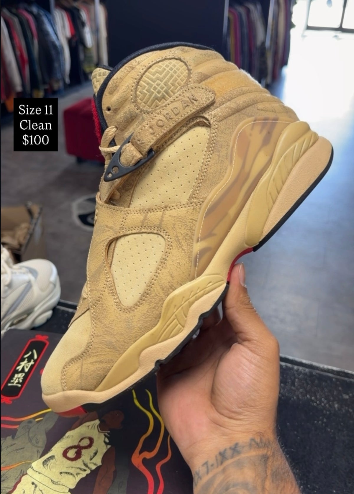 Jordan 8