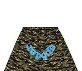 SP5DER tiger camo logo track shorts