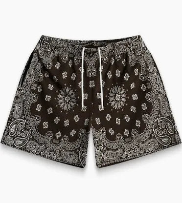 Bravest Studios Brown Paisley V2 Shorts